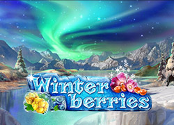 Winterberries Slot Online